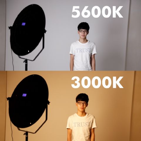 Lampe LED Bicolore Falcon Eyes Sophiez SO-28TD sur 230V