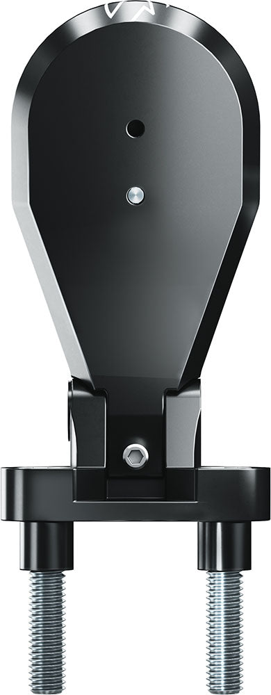 Pro stem computer mount