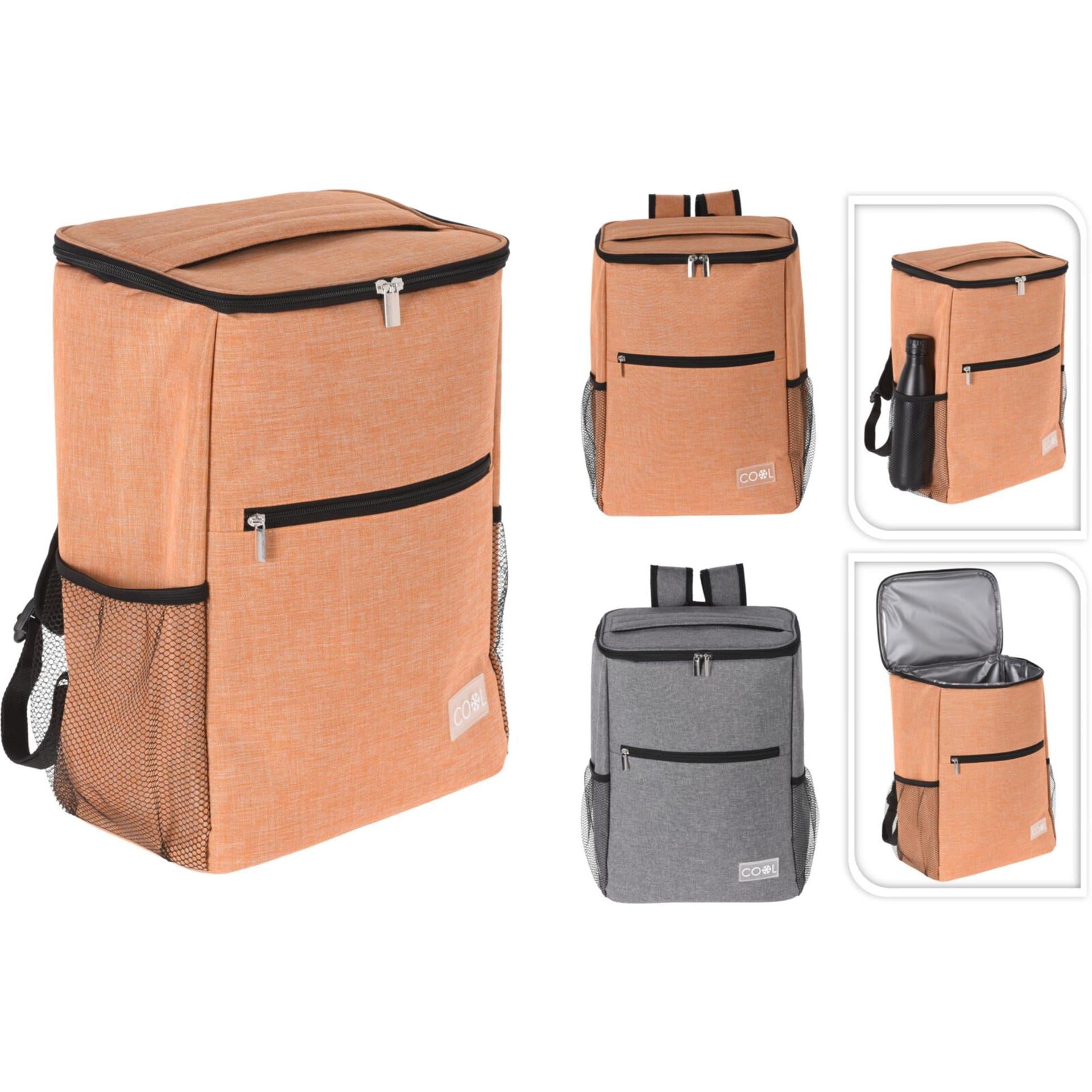 Diverse koeltas 42x30x19cm 2 verschillende kleuren