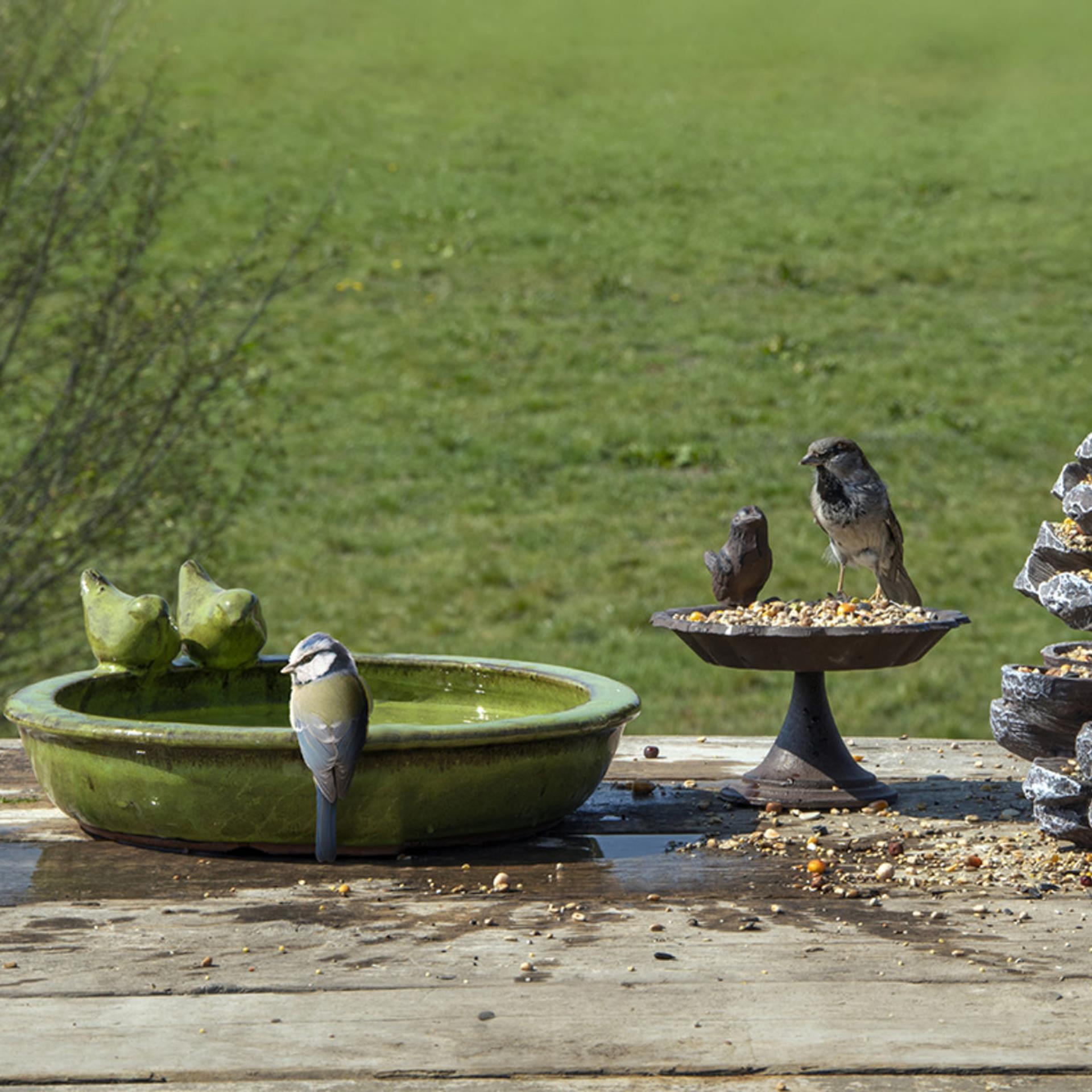 Beste voor vogels vogelbad rond keramiek groen