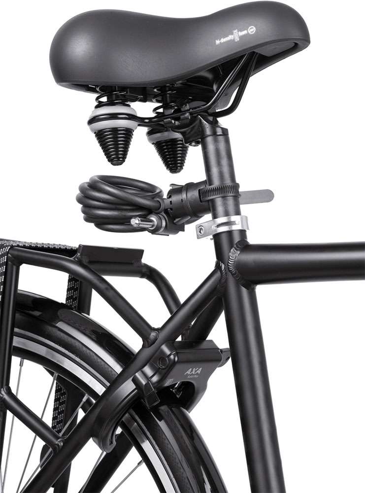 AXA Newton Plug In - 150cm - zwart