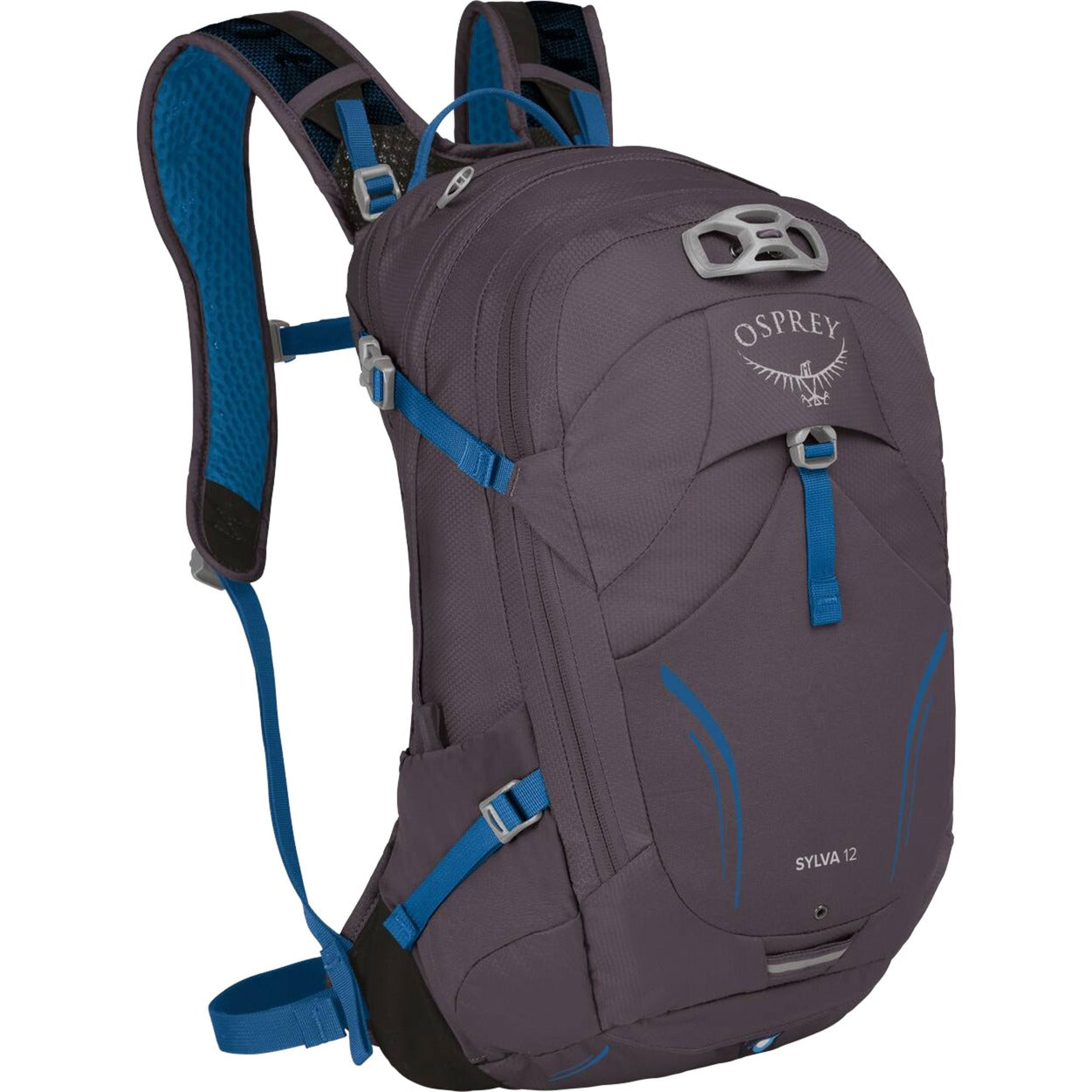 Visarend Sylva 12