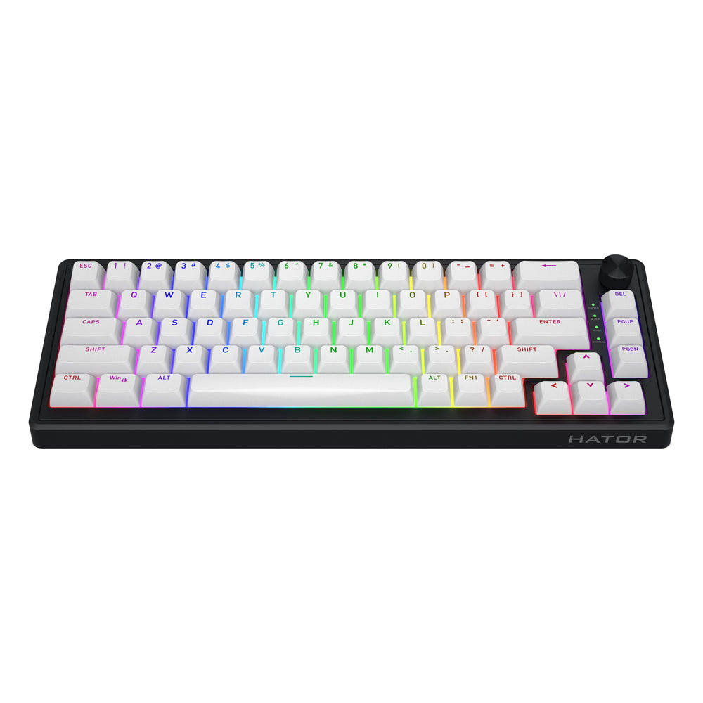 Hator skyfall mag ultra 8k rgb mechanisch gaming toetsenbord (zwart, us lay-out (qwerty), hator aurum ice, 65%, rgb, double-shot pbt, hot-swap)