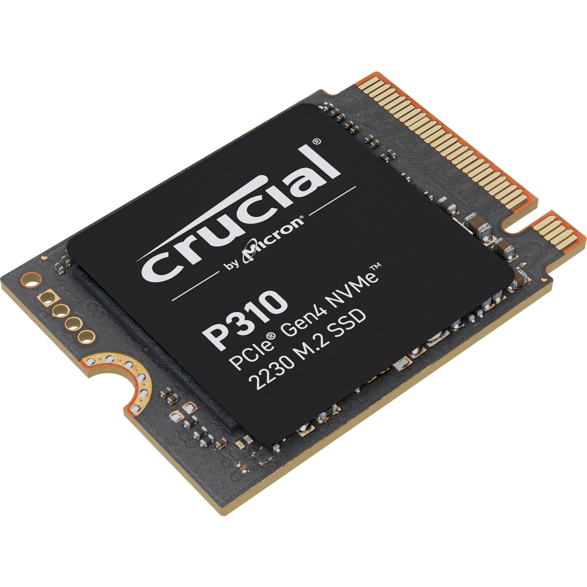 Cruciale P310 1 TB