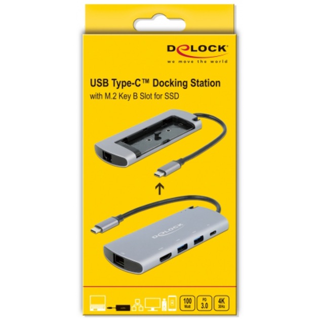DeLOCK DeLOCK USB Type-C dockingstation met M.2-slot