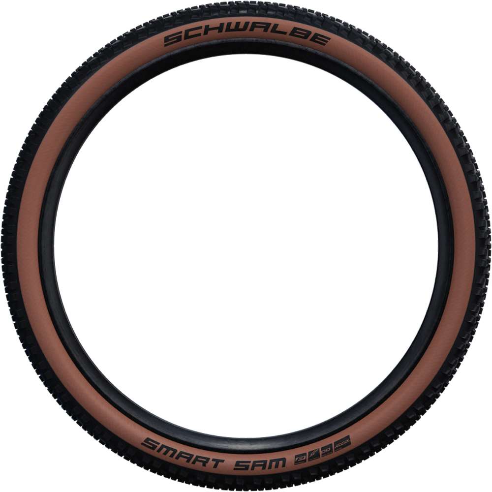 Schwalbe smart sam dd raceguard 29x2.60 addix e-50 clincher tire