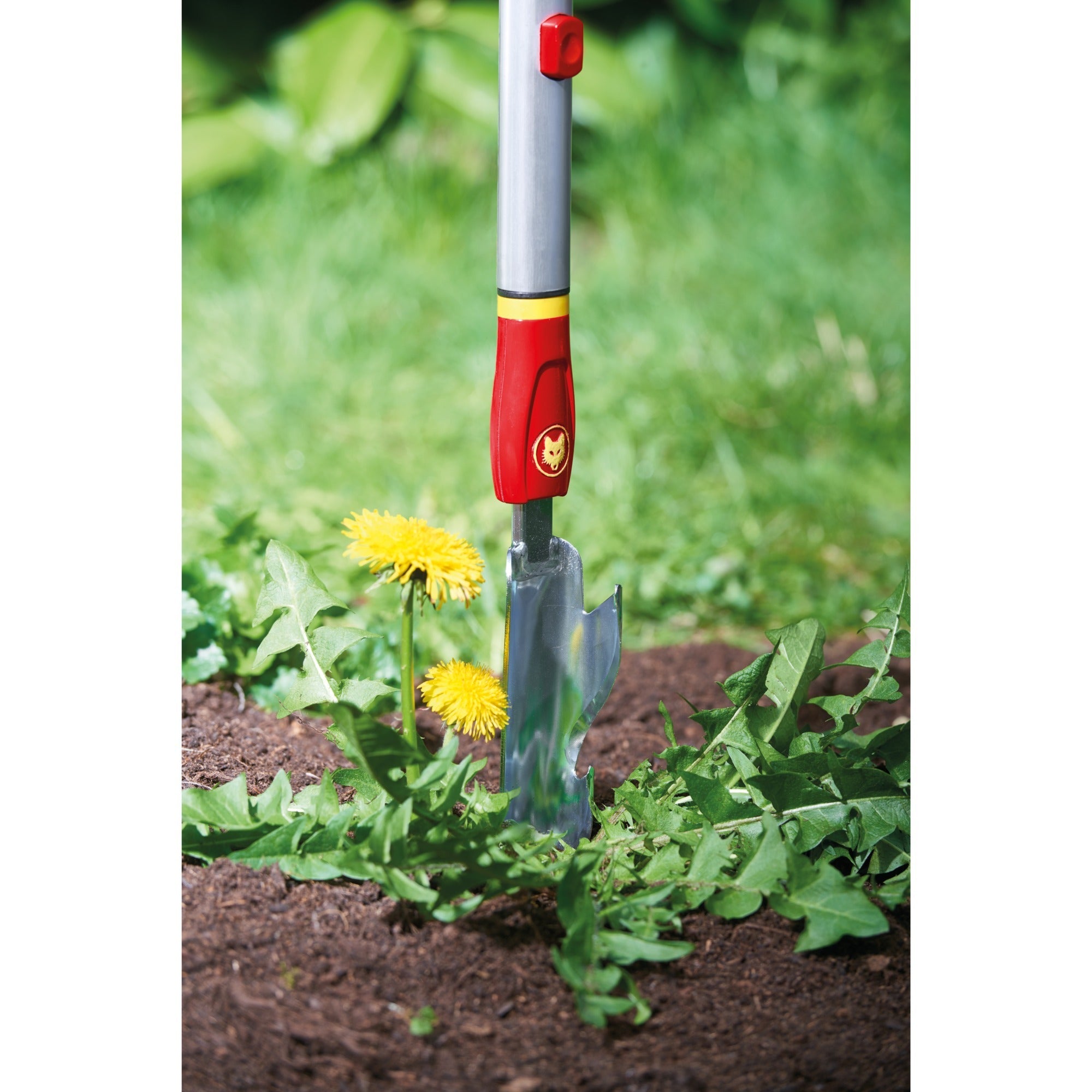 Wolf-Garten 1058829 - Wolf Weed Puller IW-M 4cm | 1 piece