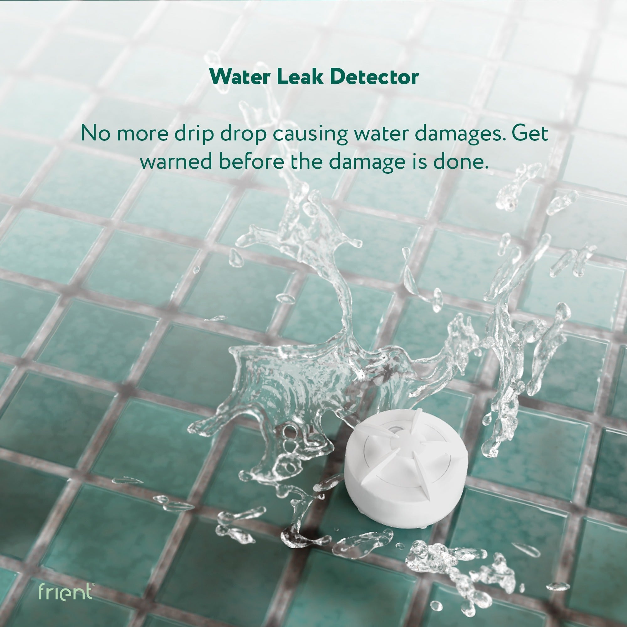 Frient water leak detector