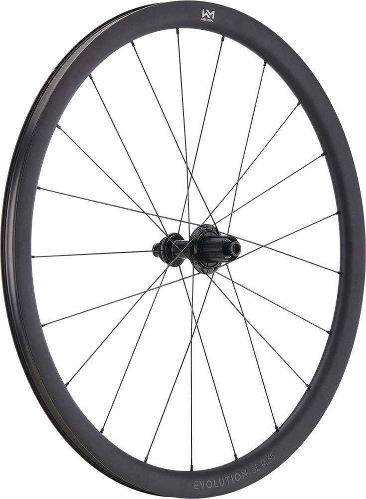 Newmen evolution sl r.35 fade r sj cl 12x142 rear wheel