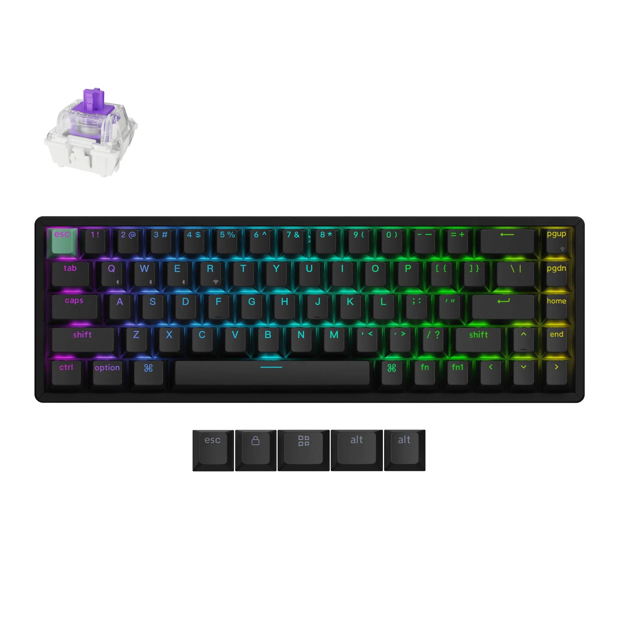 Keychron k6 he-j1 rgb mechanisch toetsenbord (zwart, us lay-out (qwerty), gateron double-rail magnetic nebula, 65%, rgb leds, cherry double-shot pbt, hot swap, usb-c | 2.4 ghz | bluetooth 5.1)