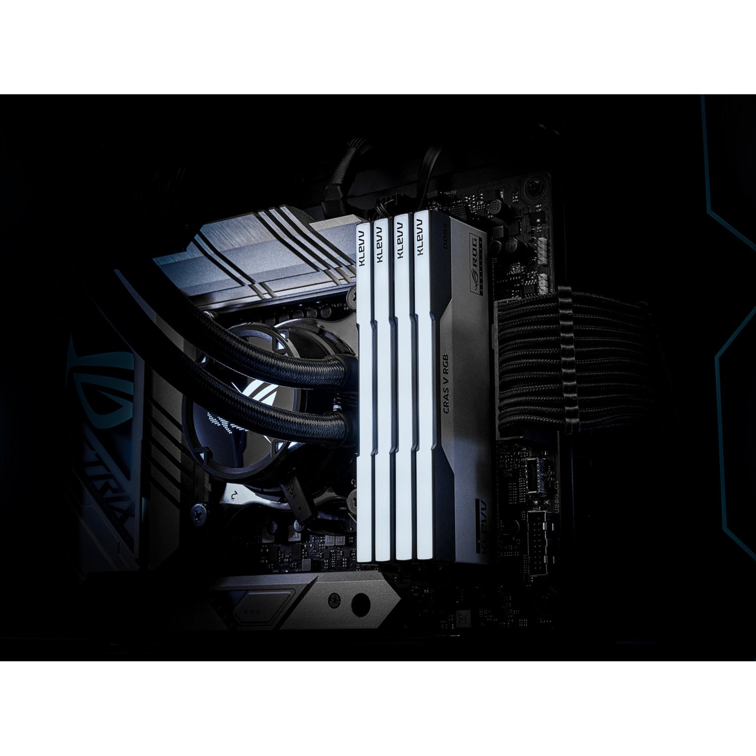 Klevv 32 gb ddr5-6200 (2x 16 gb) kit werkgeheugen (wit zwart, kd5agua80-62b320p, cras v rgb rog, xmp 3.0, expo)