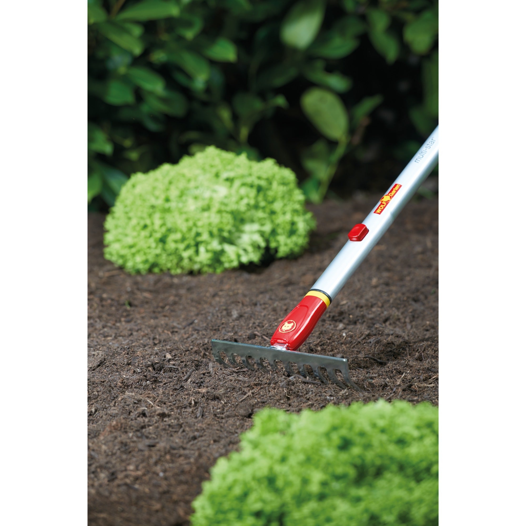 Wolf-Garten Rake Narrow Tine 10 Tine DS-M19 - Rakes - 19 cm