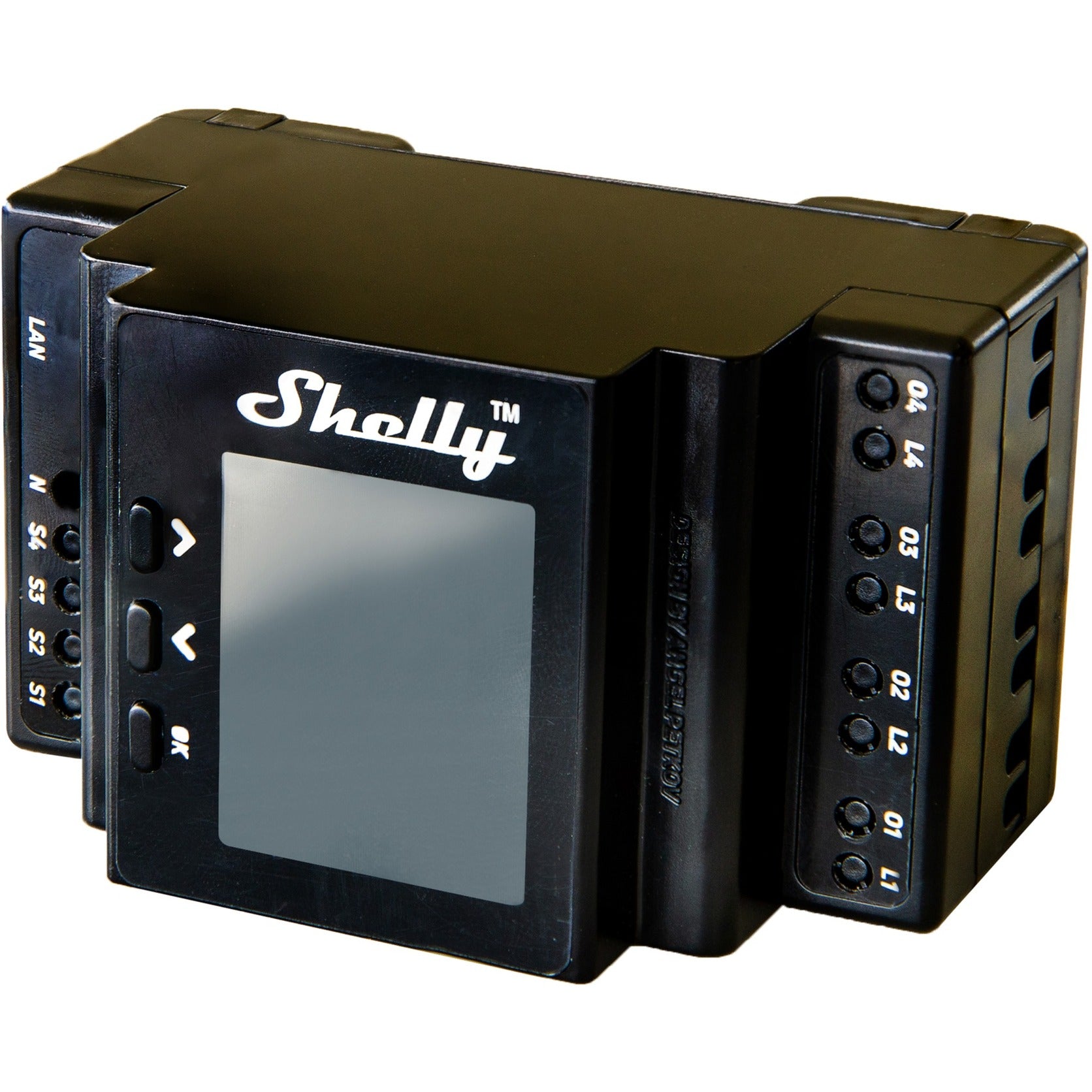 Shelly Shelly 16.00 uur