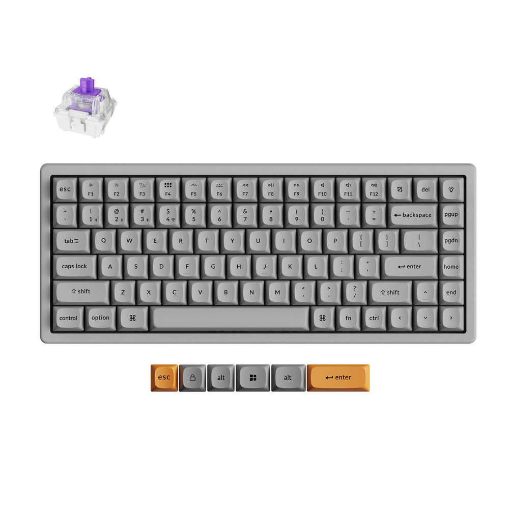 Keychron k2 he-f1c concrete edition rgb mechanisch toetsenbord (zwart, us lay-out (qwerty), gateron double-rail magnetic nebula, 75%, rgb leds, osa double-shot pbt, hot swap, 2.4ghz | bluetooth 5.2 | usb-c)