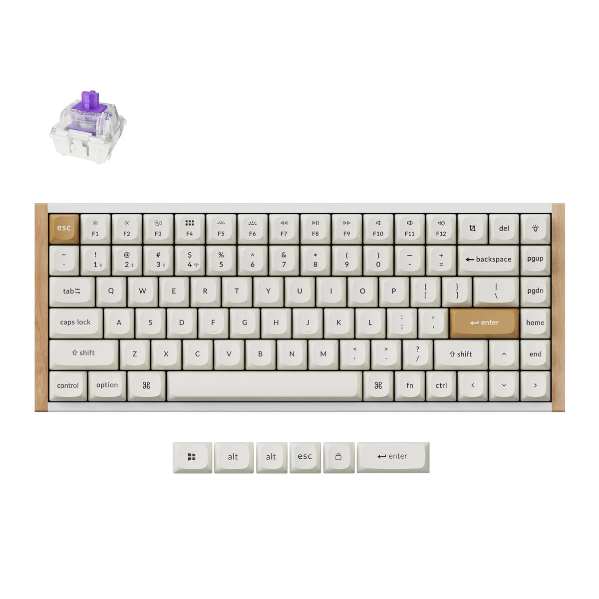 Keychron k2 he-q1 special edition rgb mechanisch toetsenbord (wit, us lay-out (qwerty), gateron double-rail magnetic nebula, 75%, rgb leds, osa double-shot pbt, hot swap, 2.4ghz | bluetooth 5.2 | usb-c)