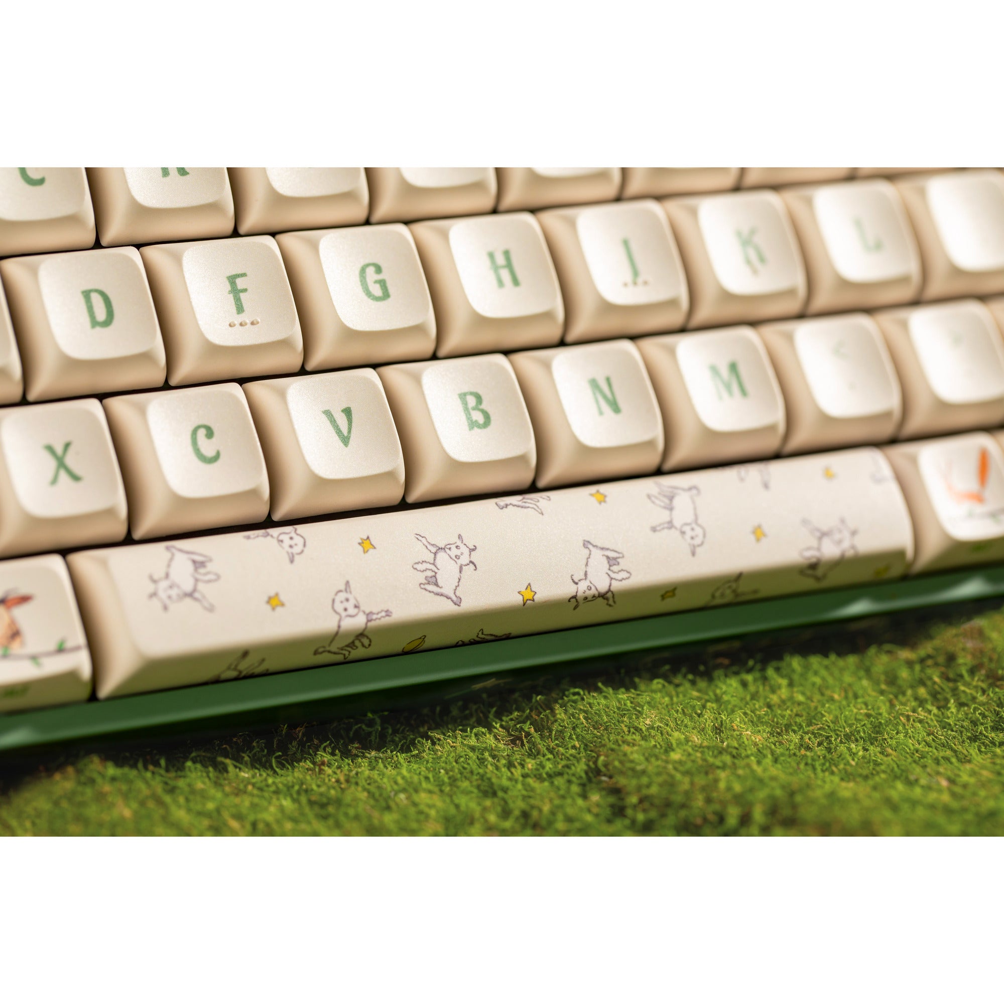 Iqunix f97 floral date, gaming toetsenbord (groen wit, us lay-out, gateron red, rgb leds, 96%, hot-swappable, pbt, 2.4ghz | bluetooth 5.1 | usb-c)