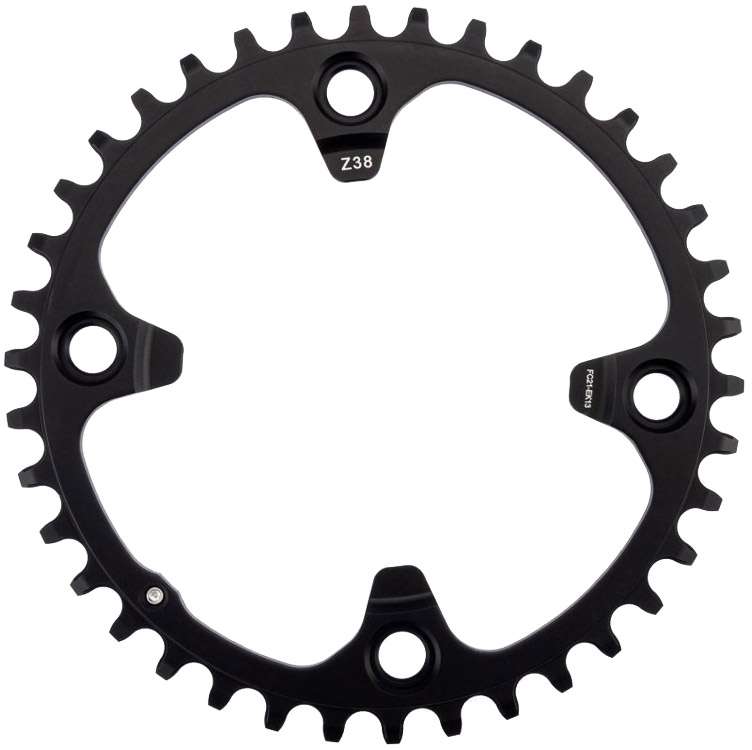 Campagnolo ekar 13-speed chainring 123mm
