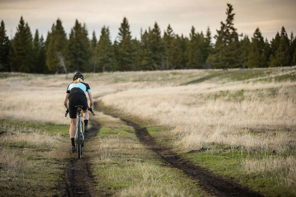 Shimano grx 810 11v sti schijfkoppelingen