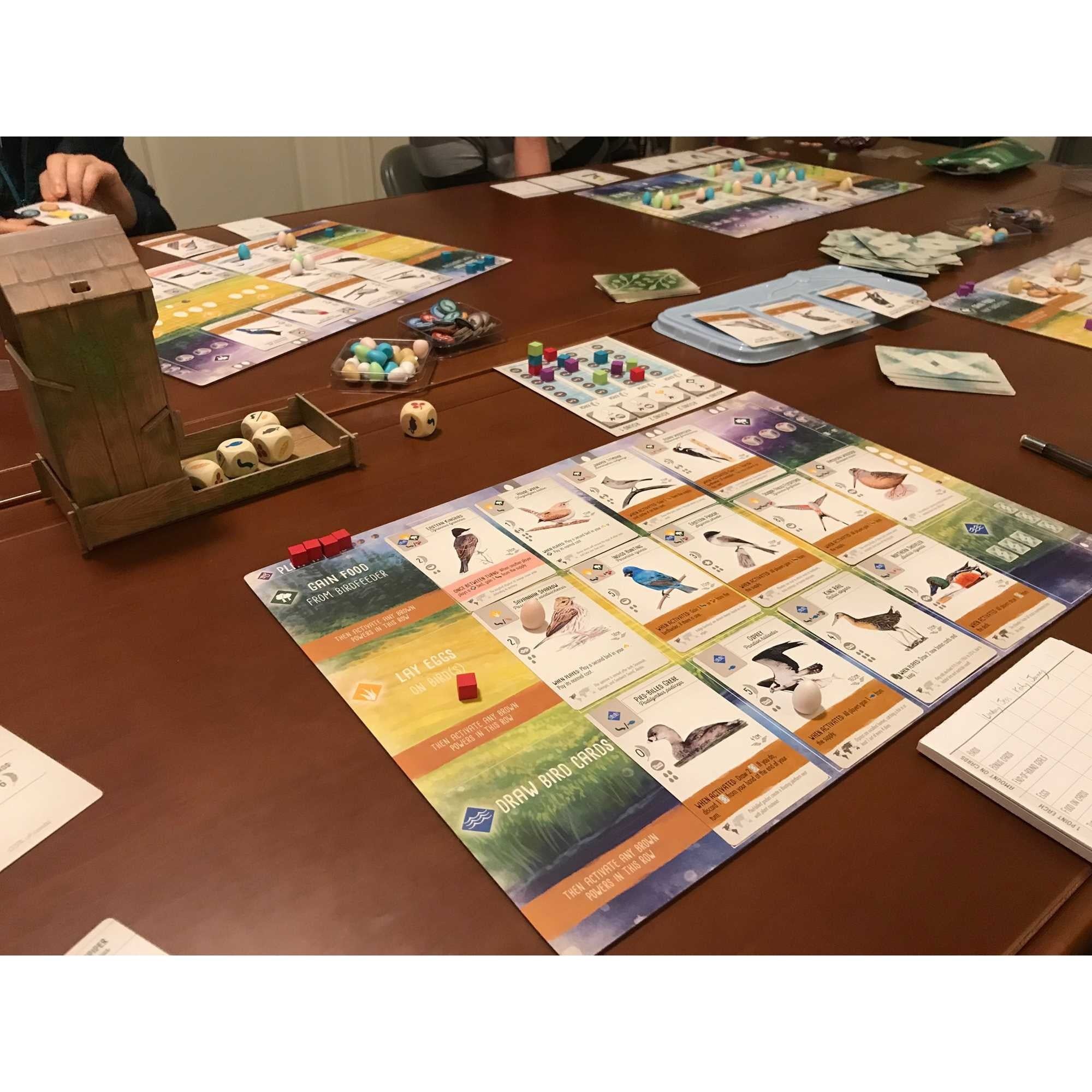 Asmodee Spanwijdte