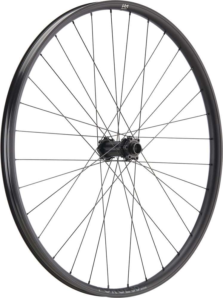 Newmen forge 30 strong enduro 29 6-bolt 15 20x110 fade front wheel