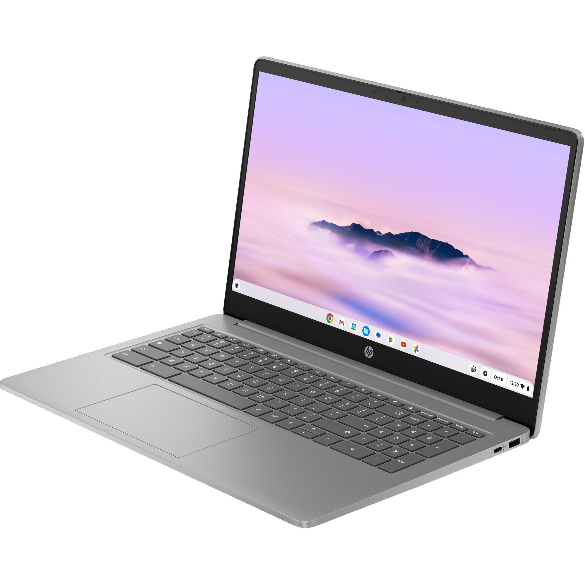 Hp chromebook 15a-nb0240nd (b21g1ea) 15.6 laptop (zilver | core i3-n305 | uhd graphics | 8 gb | 256 gb ufs)