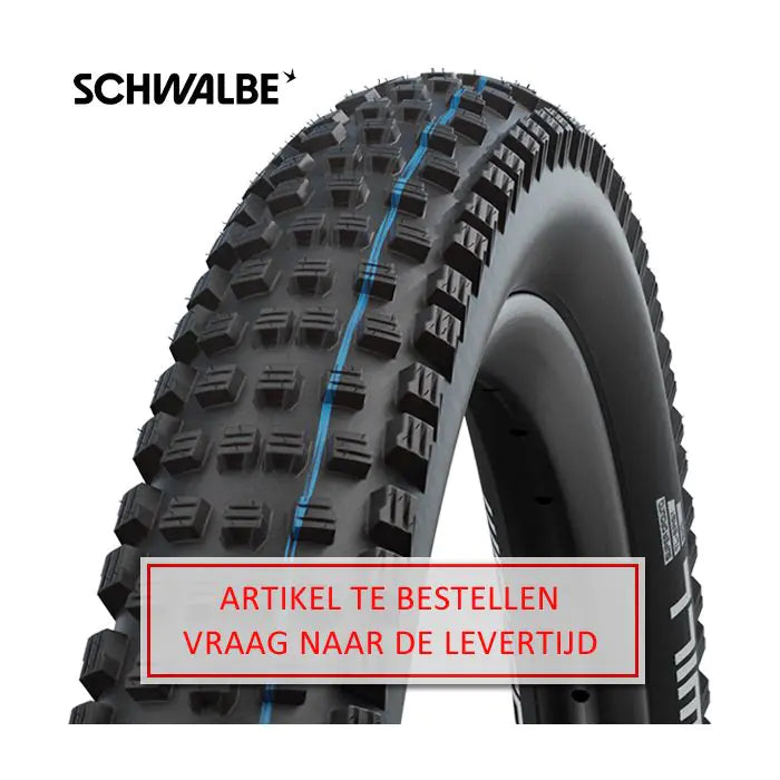 BUB Schwalbe 29-2.60 (65-622) Wicked Will EVO SuperT E-50 noir