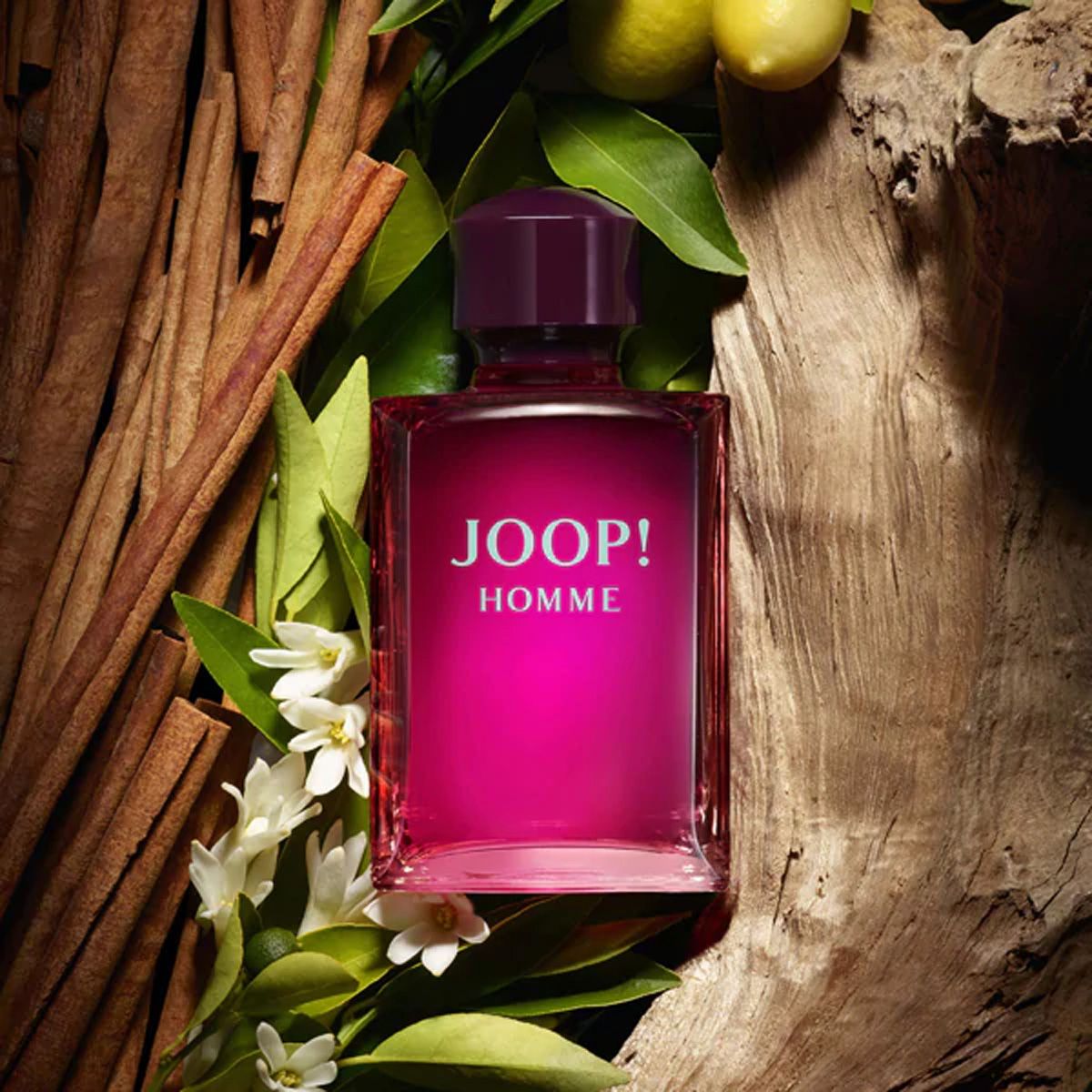 Joop! joop homme eau de toilette spray 125ml heren
