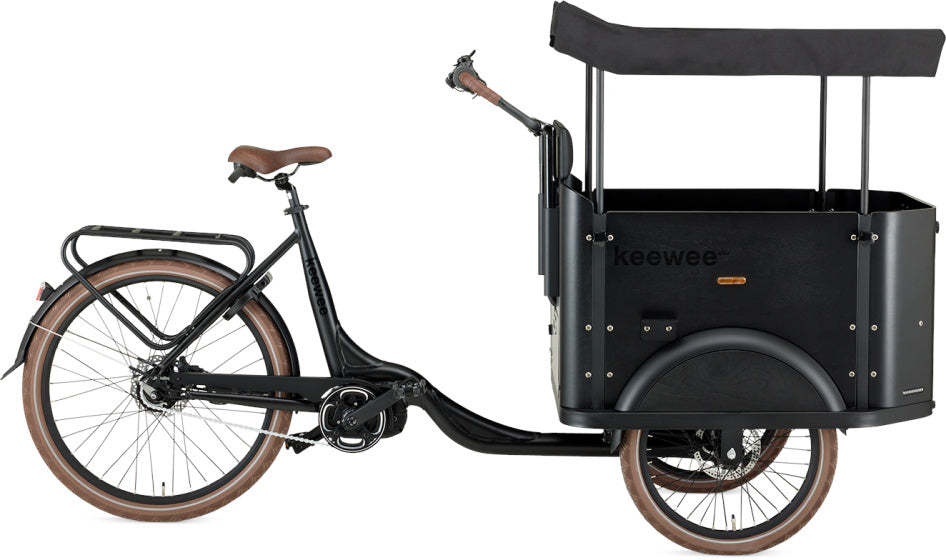 Bakfiets 20 Inch 54 cm Unisex 8V Hydraulische schijfrem Matzwart