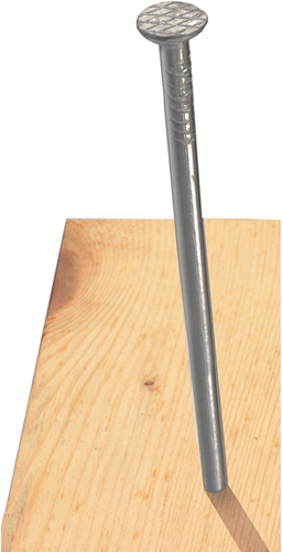 Connex nagel platte kop 3.1x80 1kg fe - kk1013180