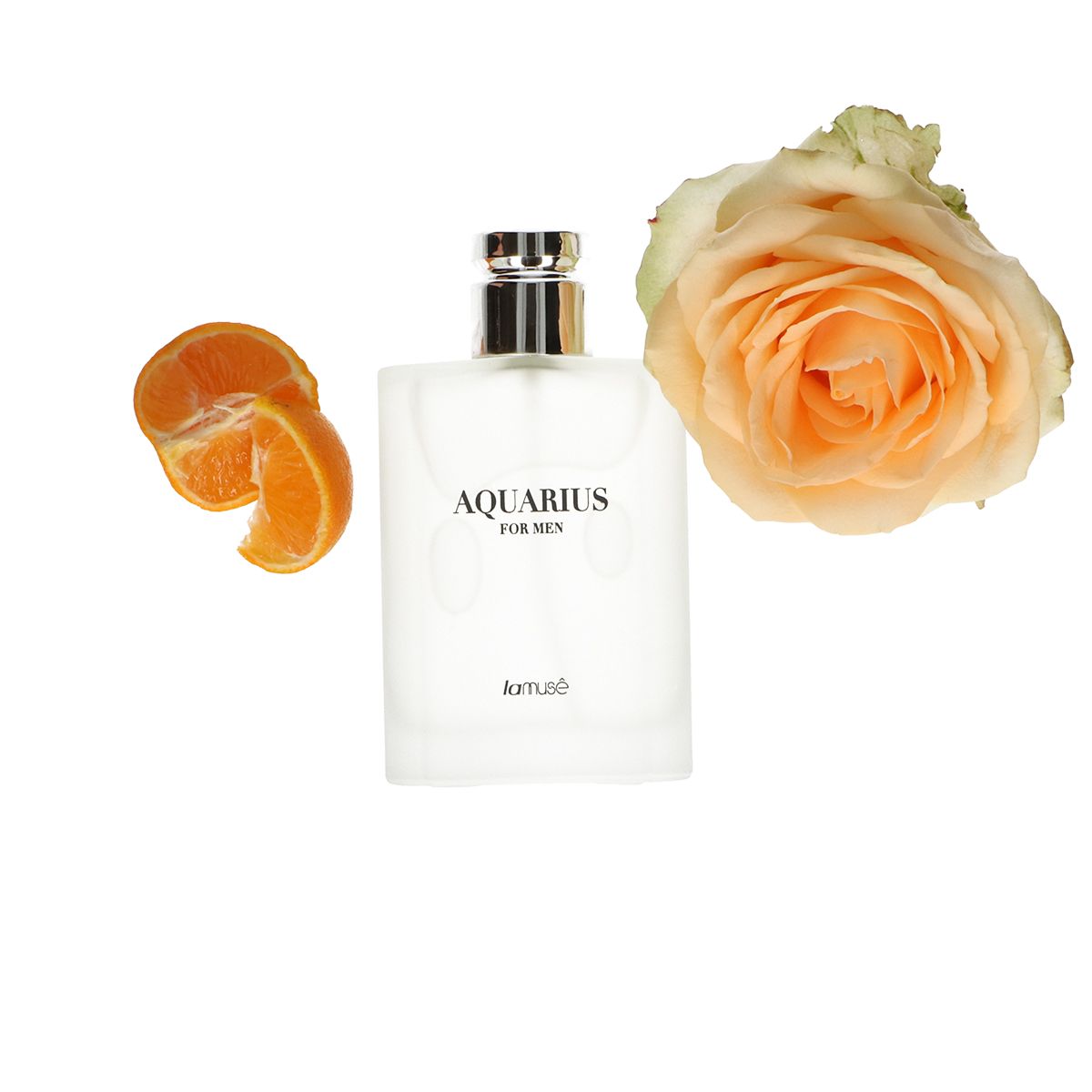 Lamusê lamuse eau de toilette spray heren waterman 100ml