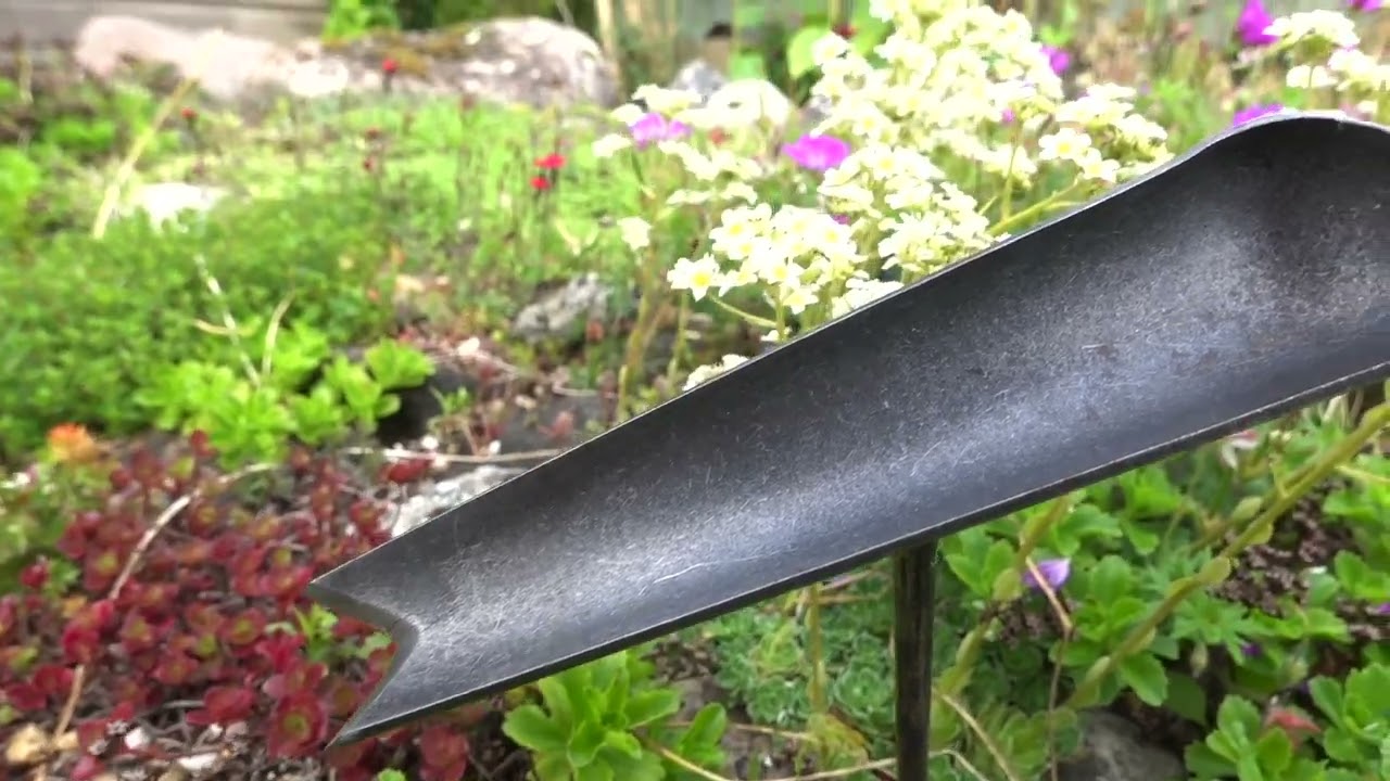 De wit producten onkruidschepje essen handvat 140mm startstar