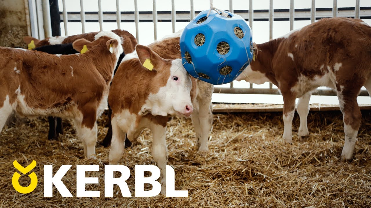 Voederspeel bal blauw