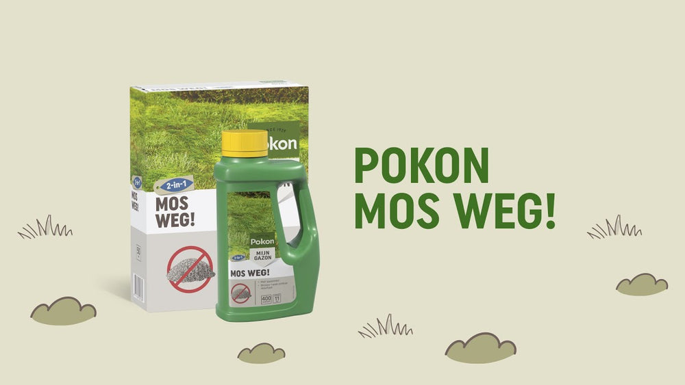 Pokon producten mos weg 25 m2 875gr