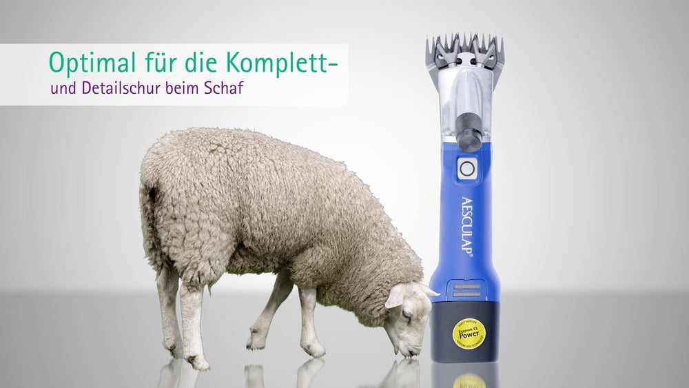 Aesculap econom producten schapenscheermachine econom cordless plus1 accu 1