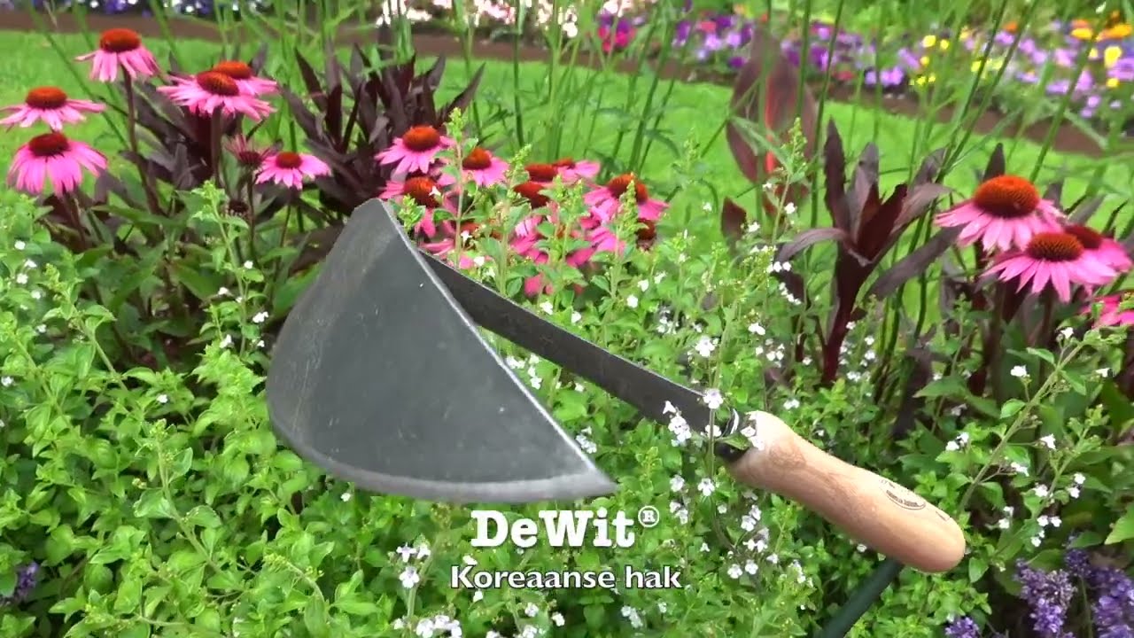 De wit koreaanse handhak rechts essen handvat 140mm dewit
