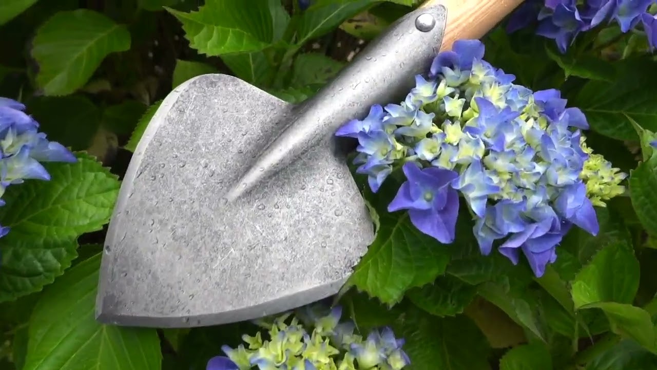 De wit producten plantgraafjekoolplantschopje essen t steel 40cm stardewitstar
