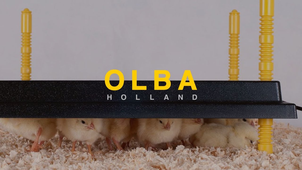 Olba producten warmteplaat voor kuikens 30x30cm 22watt