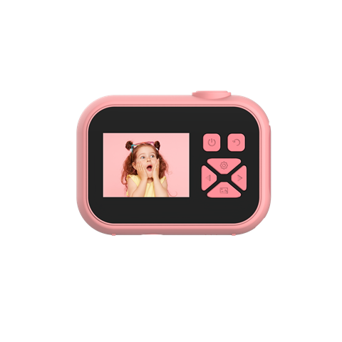 Mijn eerste camera 10 rozen