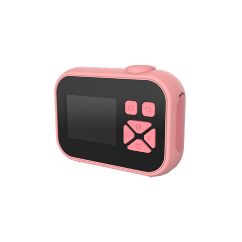 Mijn eerste camera 10 rozen