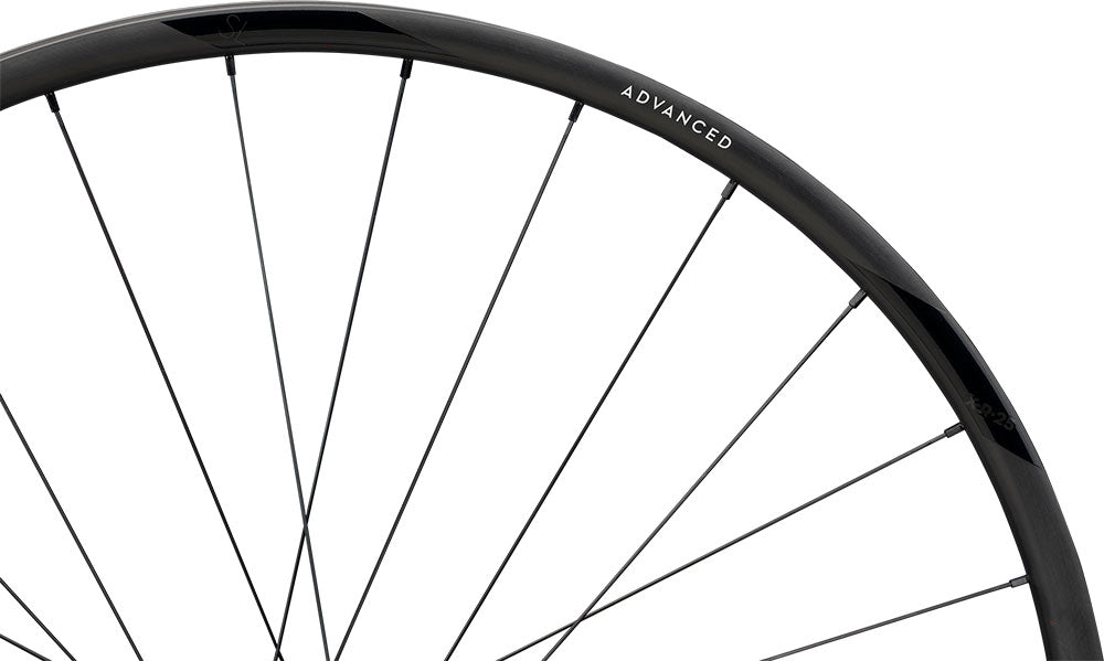 Newmen advanced sl x.r.25 cl fade r 29 rear wheel | sram xdr