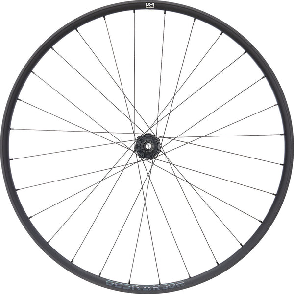 Newmen beskar 30 base 29 6-bolt 12x148 fade rear wheel