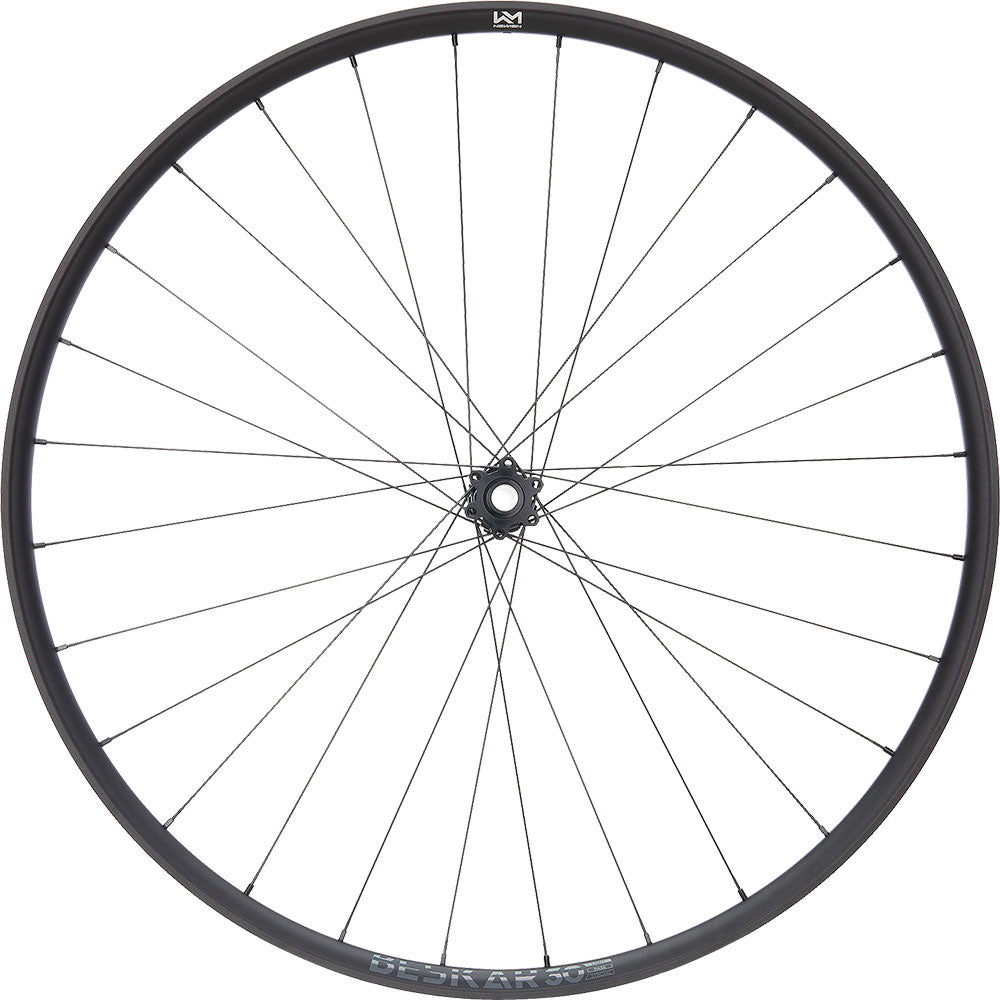 Newmen beskar 30 base 29 6-bolt 15x110 fade front wheel