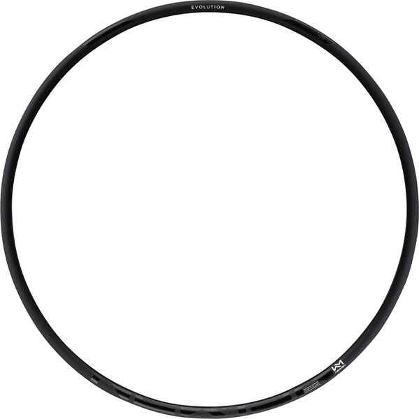 Newmen evolution sl x.r.25 29 rim