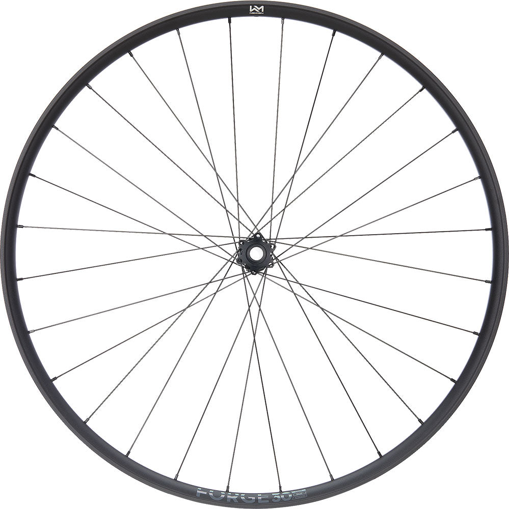 Newmen forge 30 base trail 29 6-bolt 15x110 fade front wheel