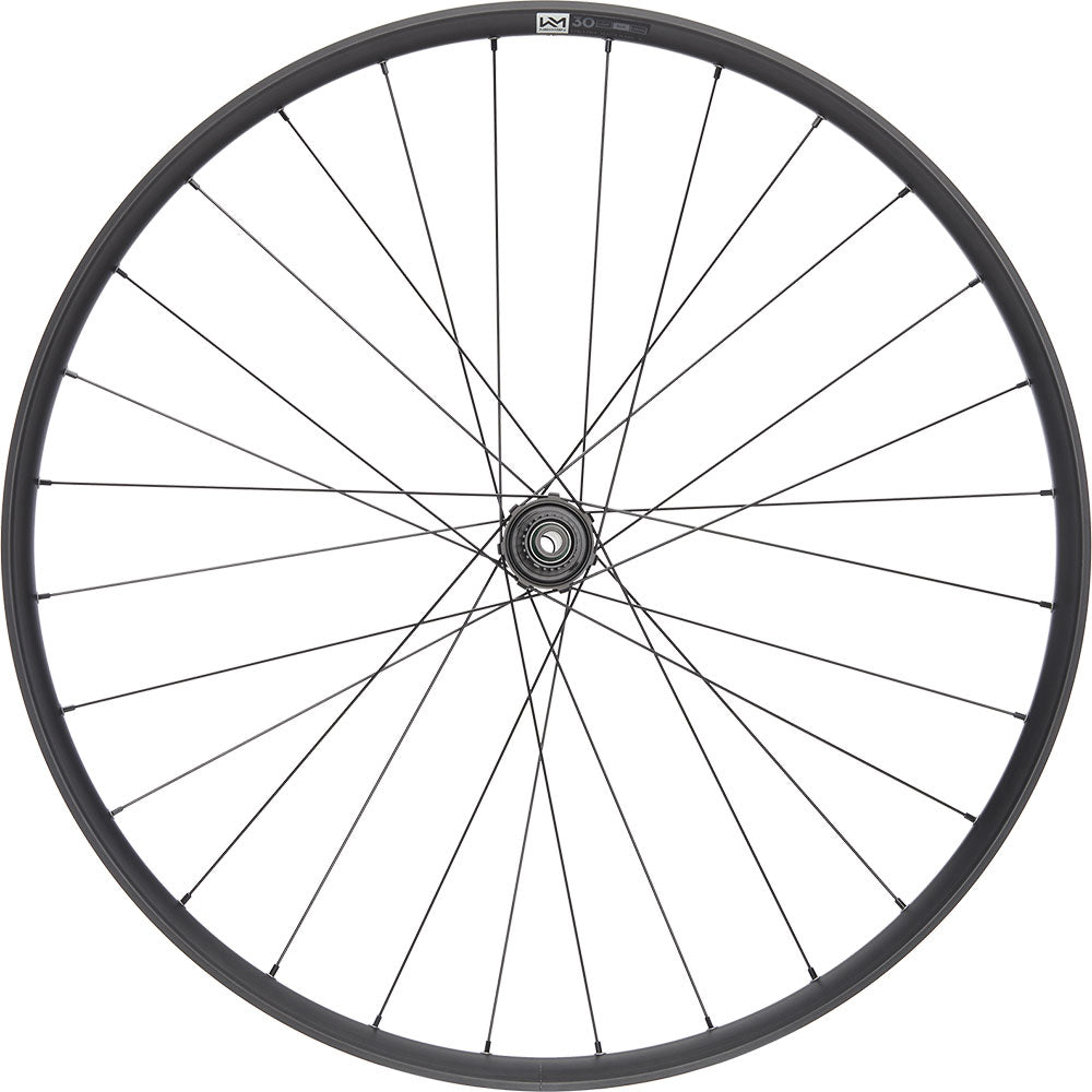 Newmen performance 30 light 29 6-bolt 12x148 fade rear wheel | sram xd