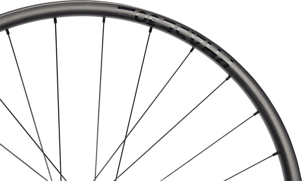 Newmen phase 30 strong 29 6-bolt 12x157 fade carbon rear wheel | shimano microspline