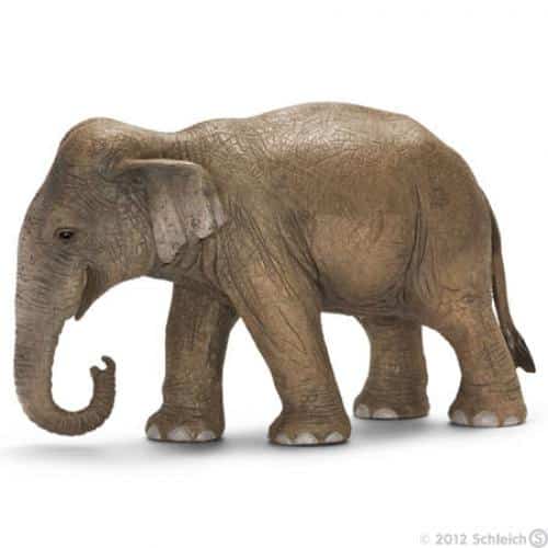 Schleich WILD LIFE Aziatisch Olifant Vrouwtje 14753