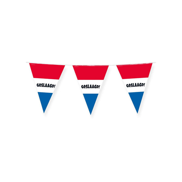 Paperdreams party flags geslaagd rood wit blauw