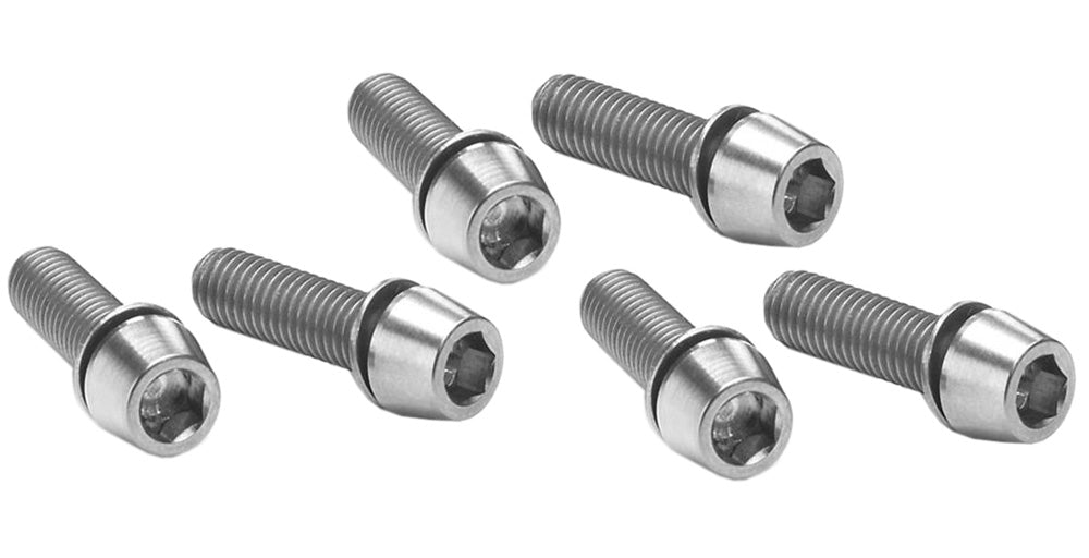 Ritchey - stuurpen RVS bouten set wcs c-220 zilver