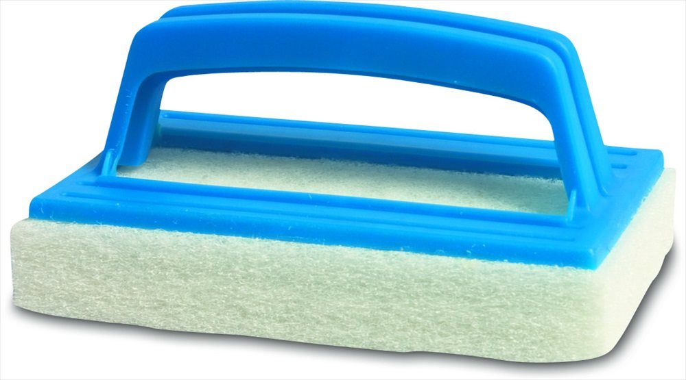 Récureur de piscine avec manche